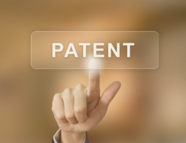 What Is The Difference Between A Patent Attorney and A Patent Agent - Intellectual Property - Blog - Patents - Tampa - Florida
